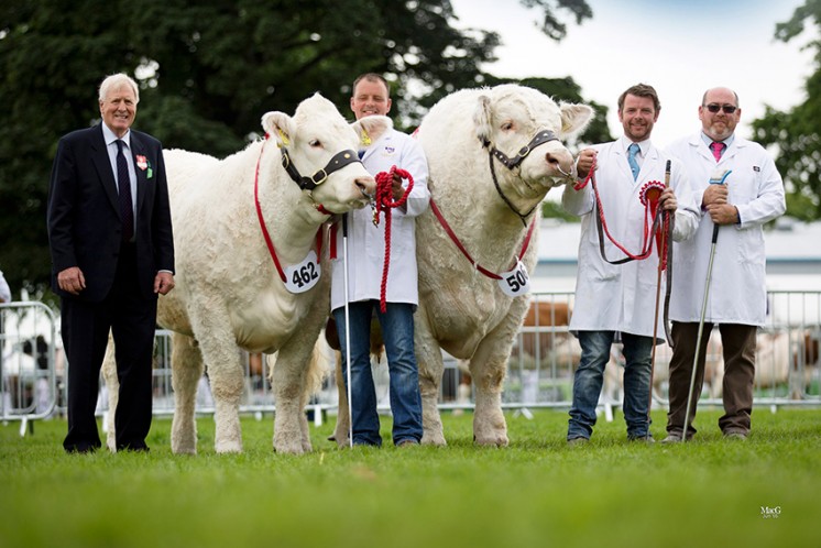 The Charolais team of Wissington Jocasta and Kilbline Instigator won the inter-breed pairs competition. Pictured with the judge Jim Goldie
