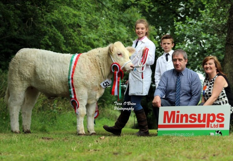 Junior Heifer Champion – Clogher Valley Cattle Breeding Services – Clogher Maudsicecream