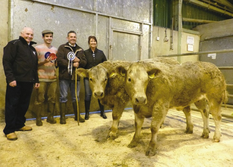 Success for Leo Fearon Rostrevor with reserve champion at Hilltown