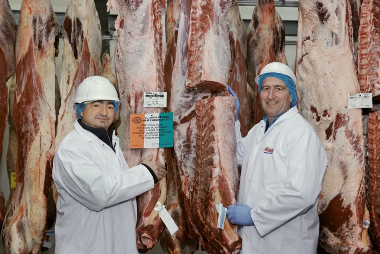 Best Carcase suited to the Italian Market at the Premier Meat Exhibition
