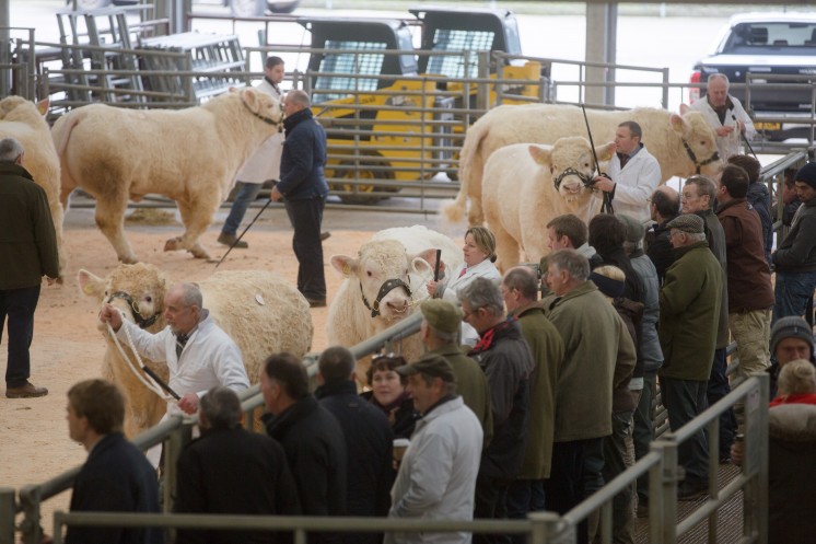 Picture Tim Scrivener 07850 303986 ….covering agriculture in the UK….