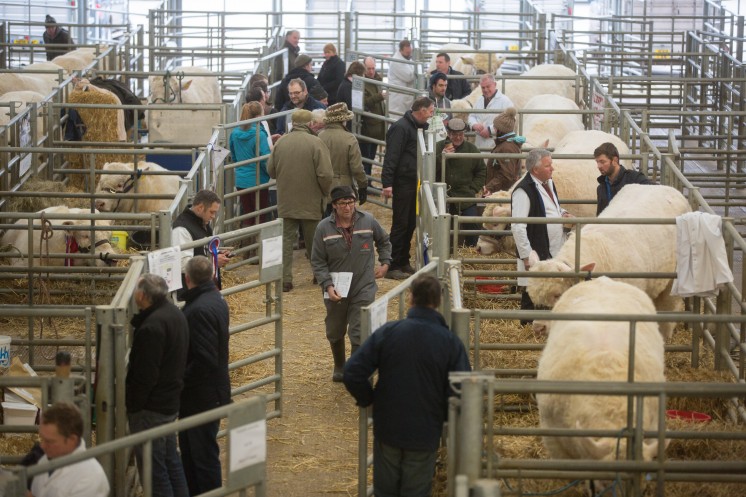 Picture Tim Scrivener 07850 303986….covering agriculture in the UK….