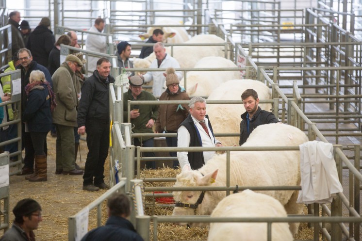 Picture Tim Scrivener 07850 303986….covering agriculture in the UK….