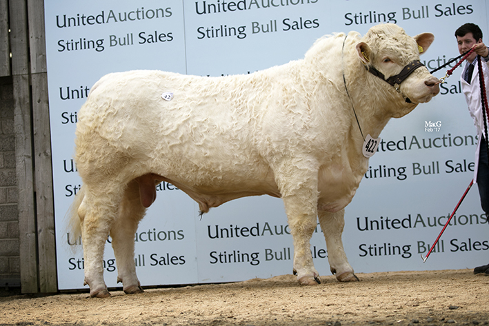 Newhouse Lonestar - 22,000gns