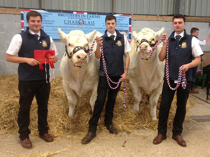 Brothers in Farms Young Show Stars Beef Winners 2017