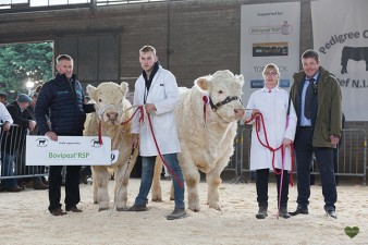 Senior Champion Hollywell Mojito and Reserve Senior Champion Currins Maddie with sponsor MSD Bovipast RSP and judge Neil Blyth