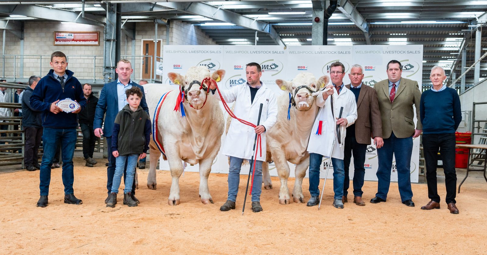 Welshpool Sale 29th April 2023 The British Charolais Cattle Society